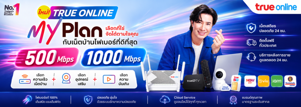 True Fiber Internet